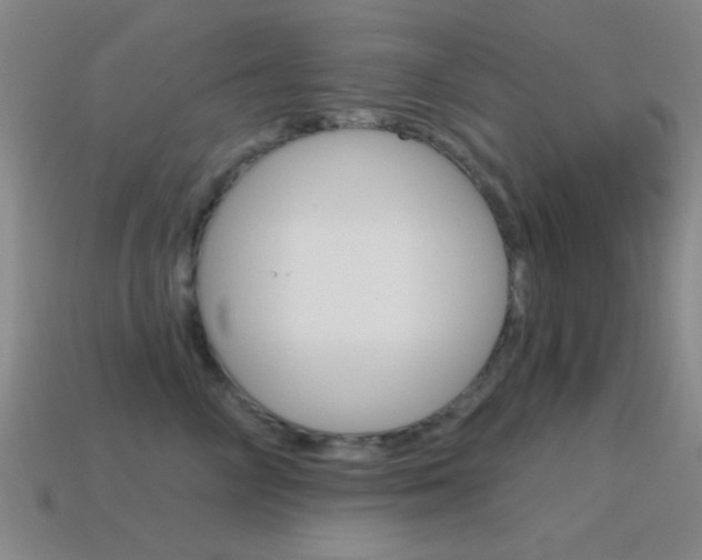 X0000115650714200911101116