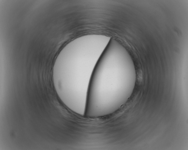 X0000115650715200911101116