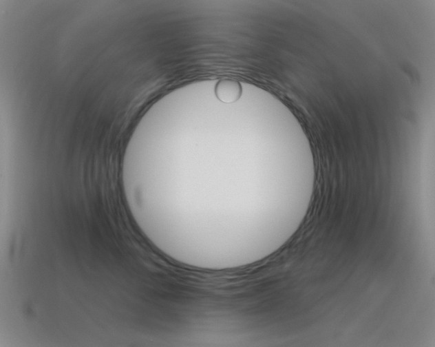 X0000115650716200911101116