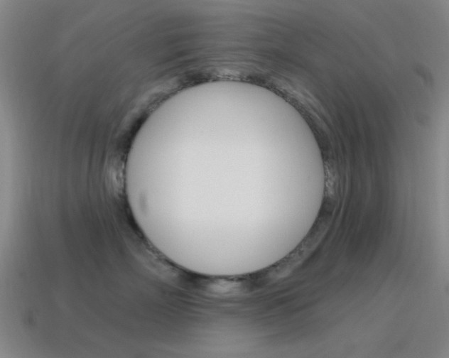 X0000115650718200911101116