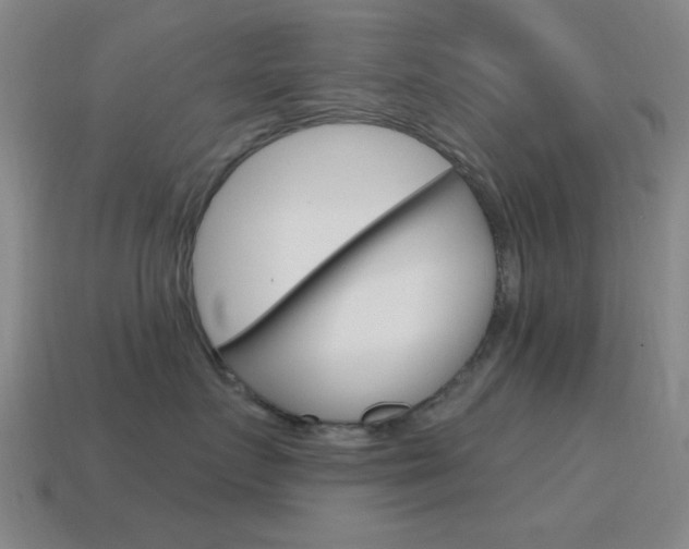 X0000115650719200911101116