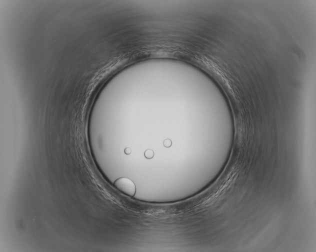 X0000115650721200911101116
