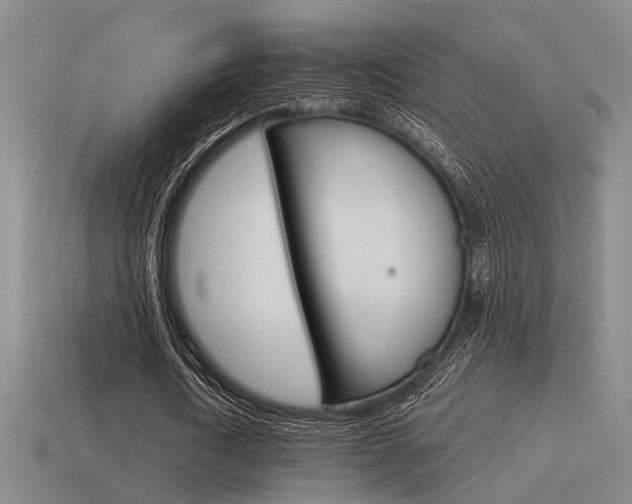 X0000115650722200911101116