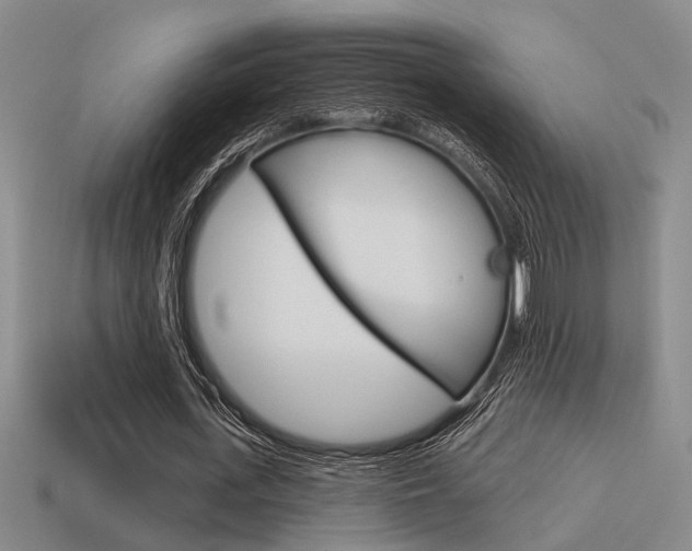 X0000115650723200911101116
