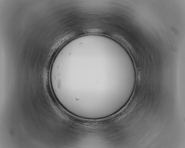 X0000115650725200911101116