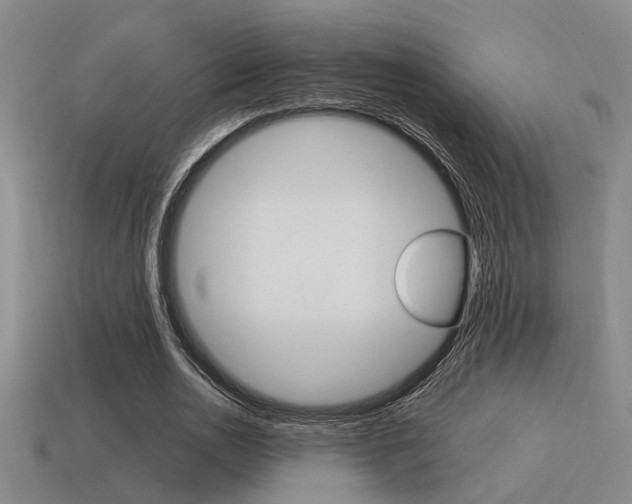 X0000115650726200911101116