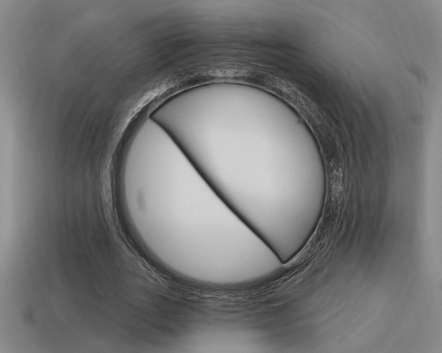 X0000115650727200911101116