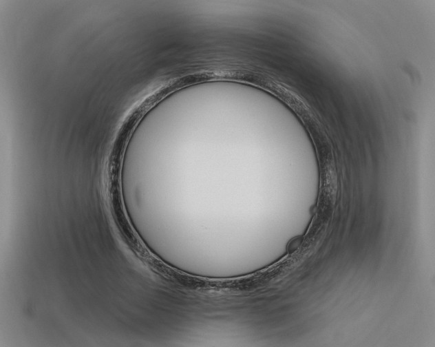X0000115650730200911101116