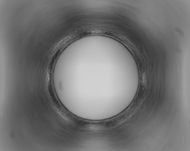 X0000115650733200911101116