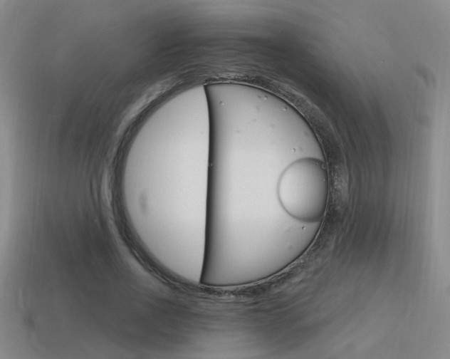 X0000115650734200911101116