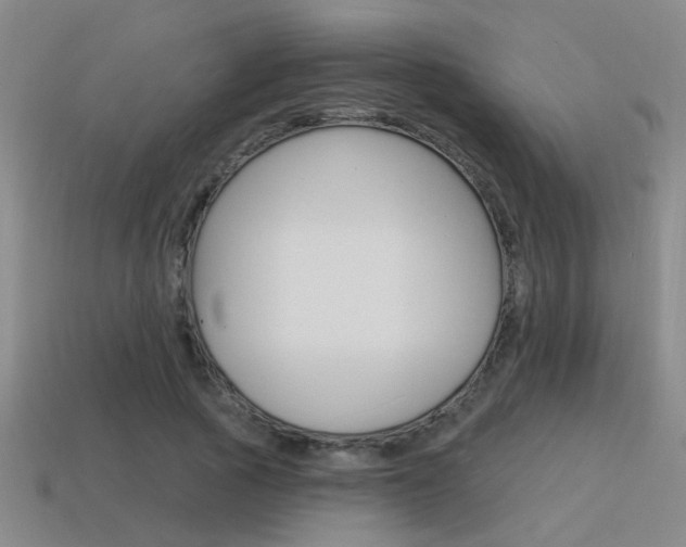 X0000115650737200911101116