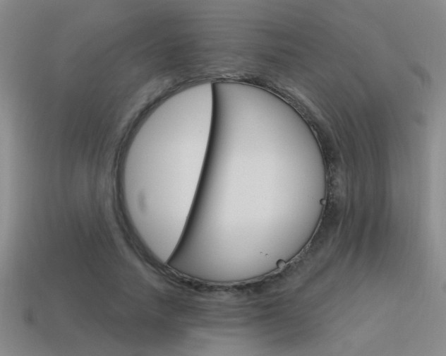 X0000115650738200911101116