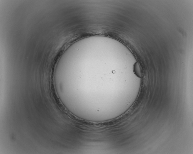 X0000115650739200911101116