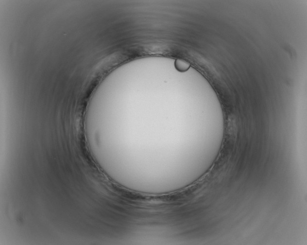 X0000115650741200911101116