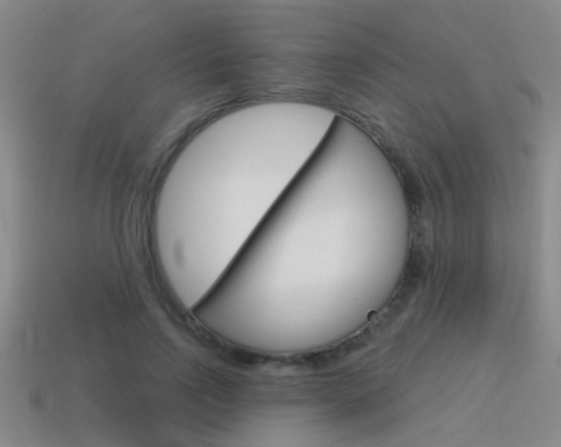 X0000115650742200911101116