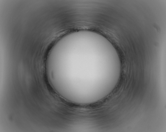 X0000115650743200911101116