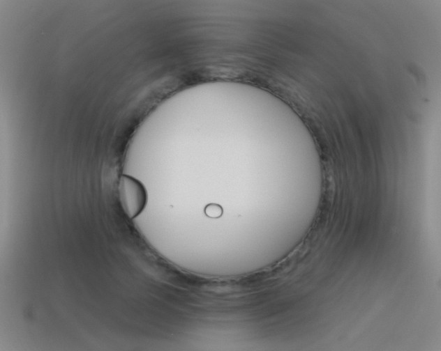 X0000115650745200911101116