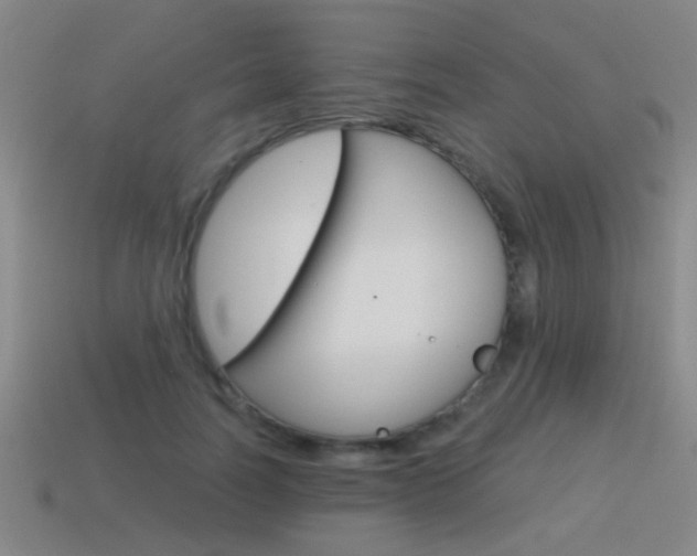 X0000115650746200911101116