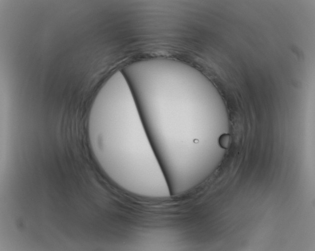 X0000115650747200911101116