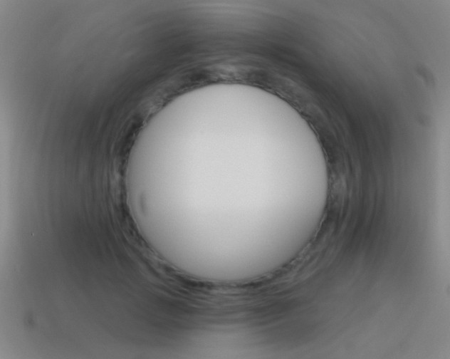 X0000115650749200911101116