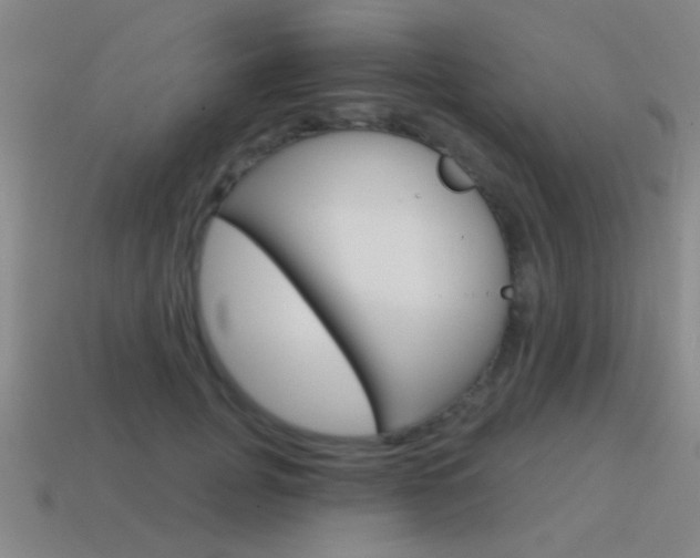 X0000115650751200911101116