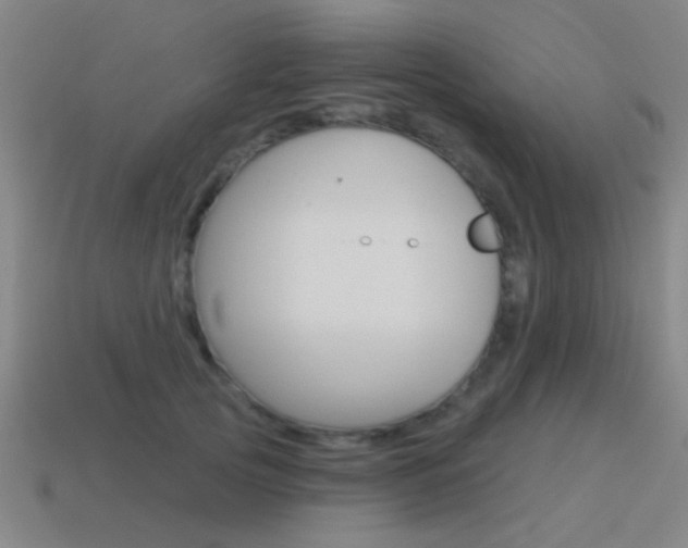 X0000115650753200911101116