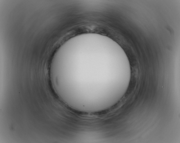 X0000115650754200911101116