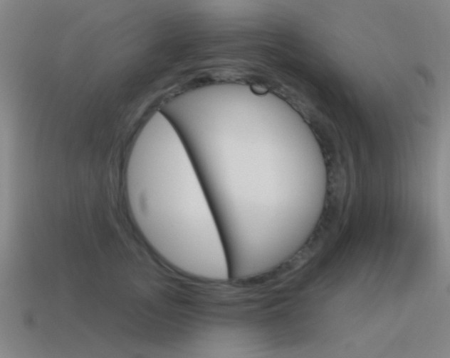 X0000115650755200911101116