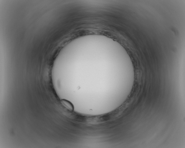 X0000115650757200911101116