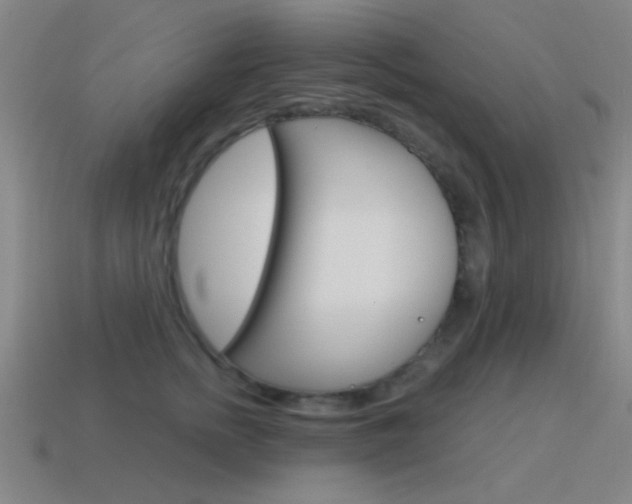 X0000115650758200911101116