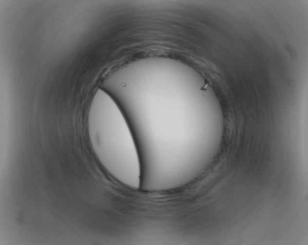 X0000115650759200911101116