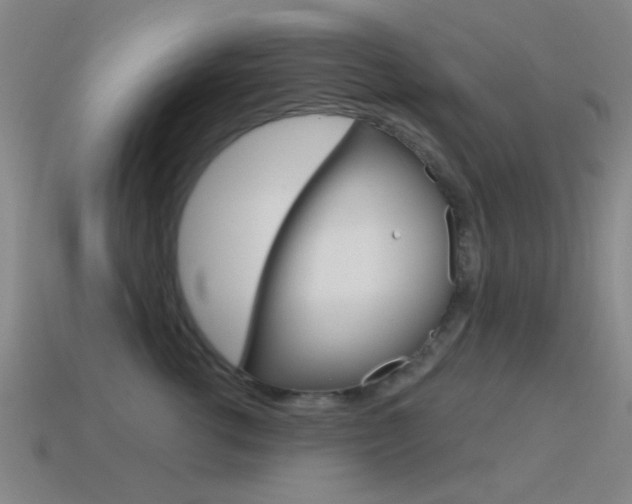 X0000115650762200911101116
