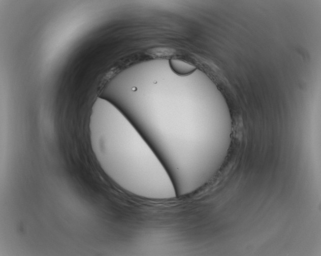 X0000115650763200911101116