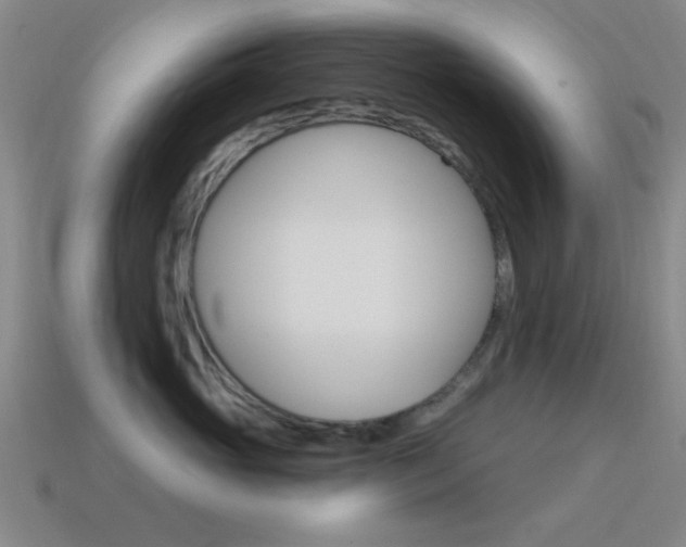 X0000115650765200911101116