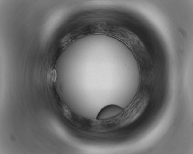 X0000115650766200911101116
