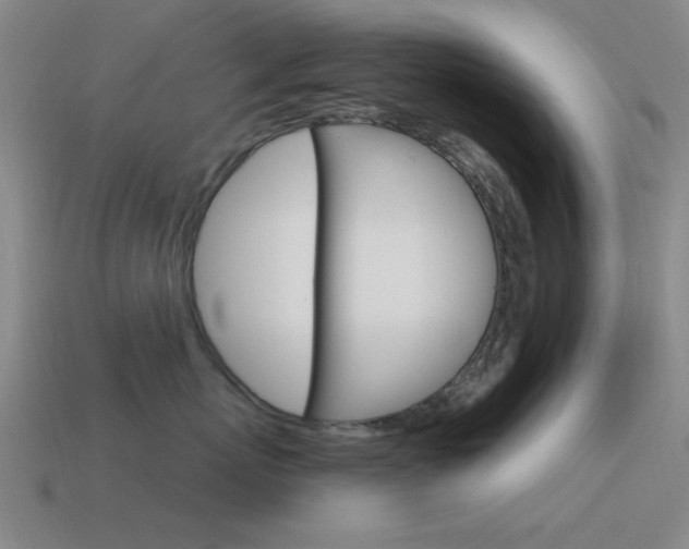 X0000115650767200911101116