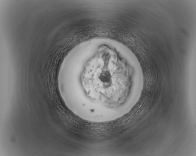 X0000115650769200911101116