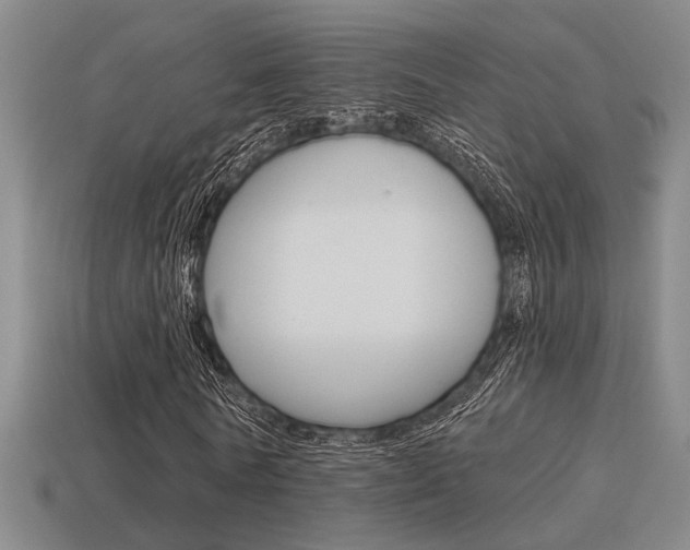X0000115650770200911101116