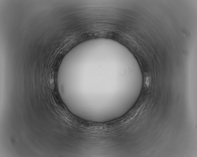 X0000115650771200911101115