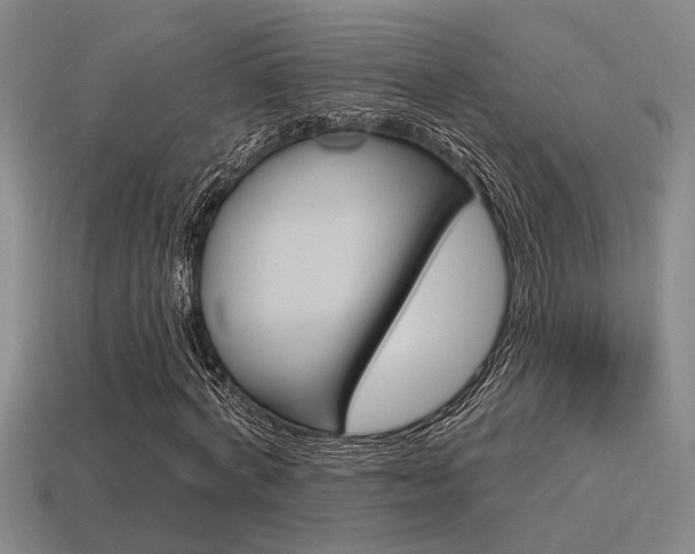 X0000115650772200911101115