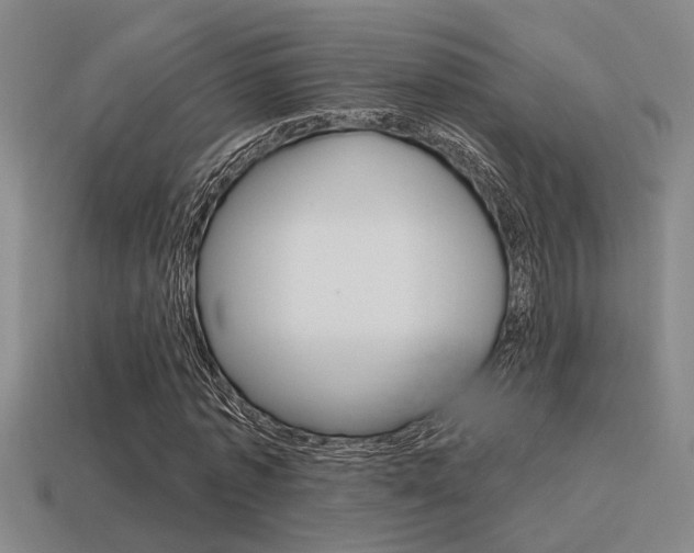 X0000115650773200911101115