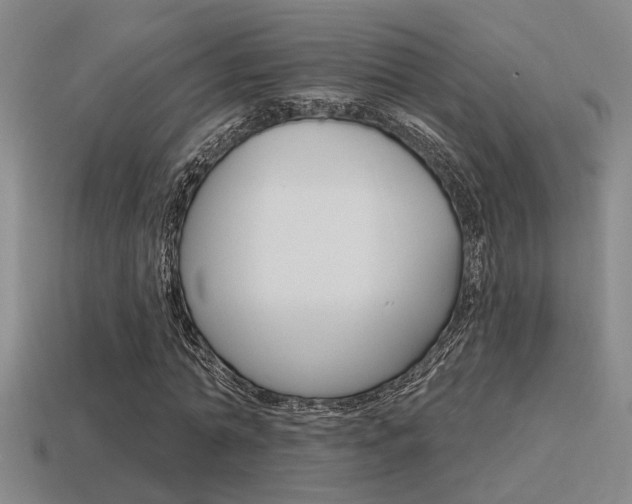 X0000115650774200911101115