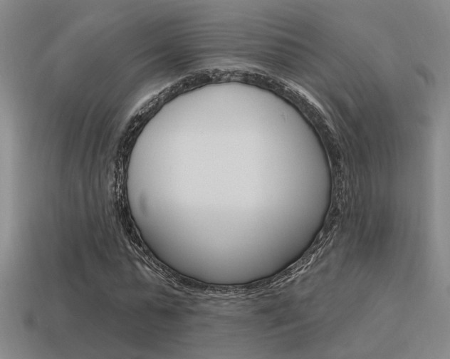 X0000115650775200911101115