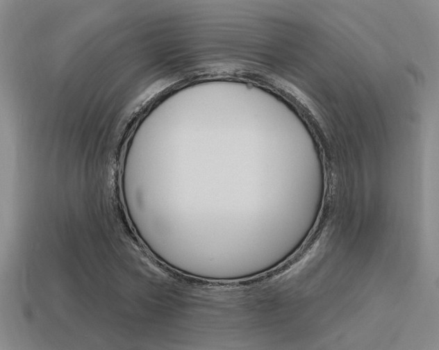 X0000115650778200911101115