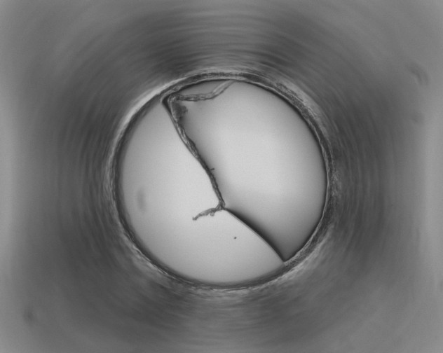 X0000115650779200911101115