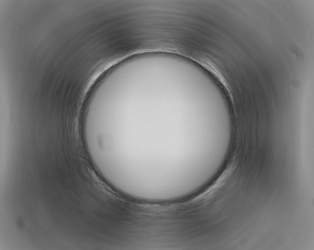 X0000115650781200911101115