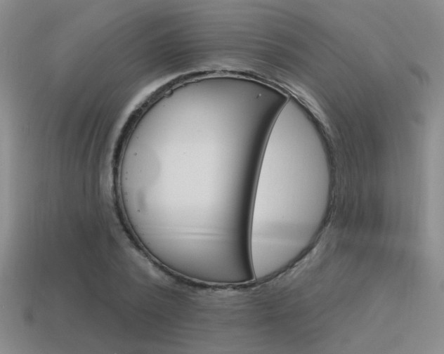 X0000115650784200911101115
