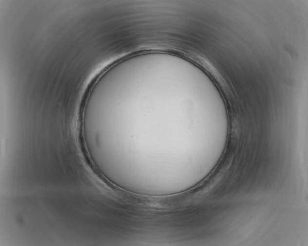X0000115650787200911101115