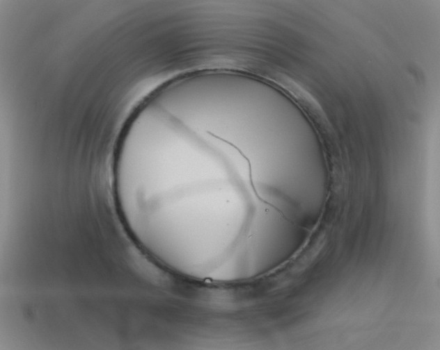 X0000115650792200911101115