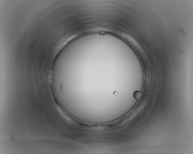 X0000115650793200911101115
